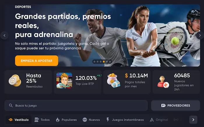 spinariumcl.com banner